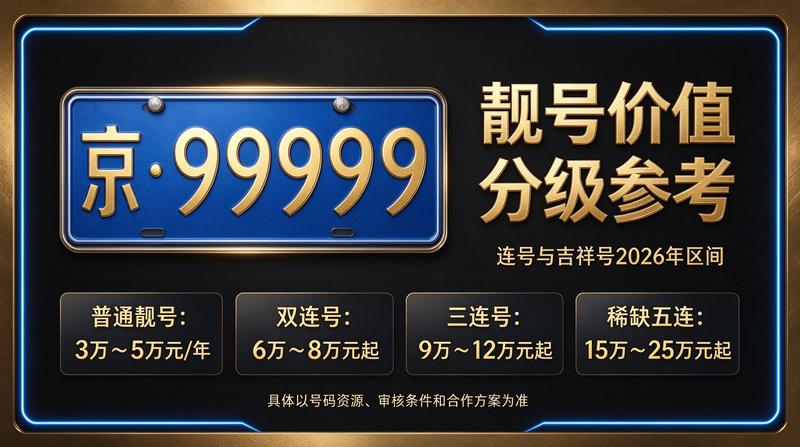闲置车牌指标价格详解图表